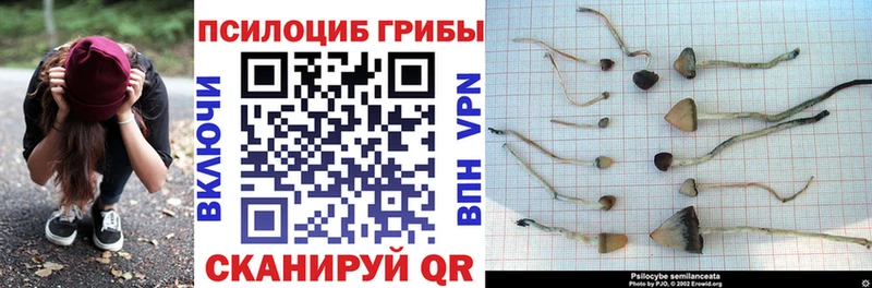 Галлюциногенные грибы Magic Shrooms  Купить где  Назрань 